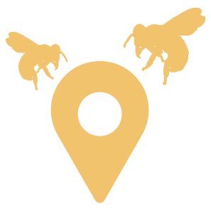 honey-buzz-icons_0003_Layer-2-copy
